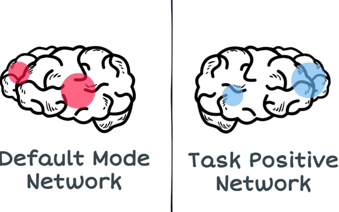 Comprendre et expérimenter le DMN et le TPN : clés pour l’équilibre mental et professionnel